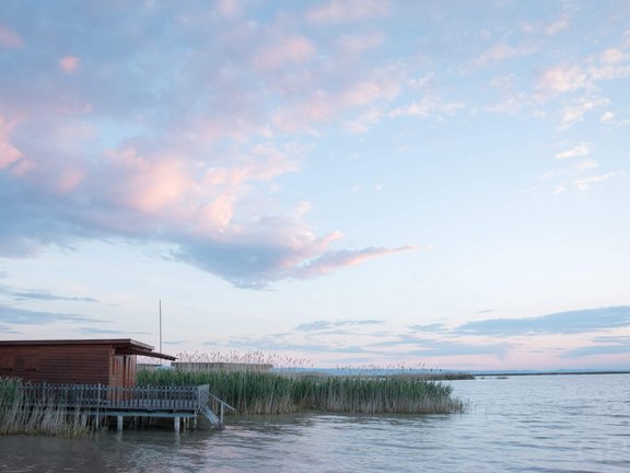 Rustikale Holzhütte am Ufer des Neusiedler Sees, umgeben von Schilf, unter einem pastellfarbenen Abendhimmel.